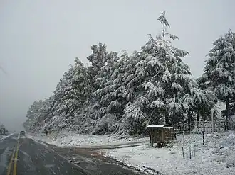 Snow in Bom Jardim da Serra