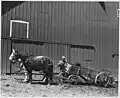 Iowan pre-agribusiness manuring implements