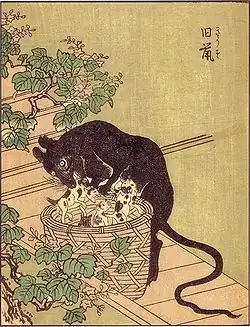 2-7