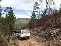Effects of wildfires visible along the road in Parque Nacional Sierra de Bahoruco.