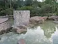 Singapore Botanic Gardens