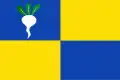 Flag of Sint-Gillis-Waas