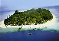 The island.
