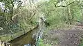 Sir Joseph Hood Memorial Wood and Beverley Brook