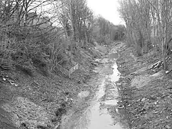The derelict MSDR line at West Didsbury in 2011