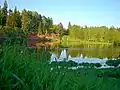 The shore of the Oredezh River in Siversky