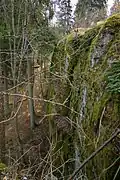 Eastern cliff of the hillfort.