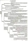 Classification by skeletal characters