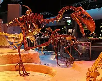 Skeleton in a kicking pose.