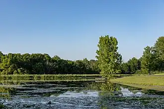 Buzzard's Roost Lake