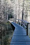 Boardwalk in the park