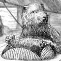 Beaver