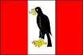 Flag of Sokolnice