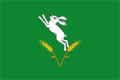 Soldanesti District