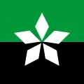 Flag of Soledar