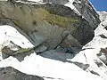 Climbing Solid Gold route