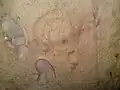 Spiral mark on stone in chamber