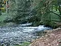 Spring of the River Bosna, Sarajevo (Autumn 2005)