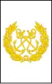 Sri Lanka Navy[15]