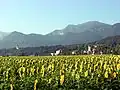 St. Peter's (the district of St. Jakob im Rosental) with mountain in the background