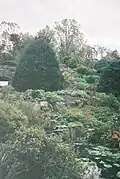 Rockery and pond