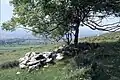 St Colman's Well