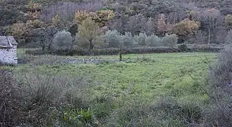The land on which the church stands.