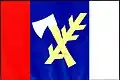 Flag of Starý Petřín