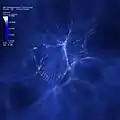 Star formation[13]