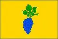Flag of Starovičky