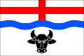 Flag of Statenice