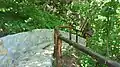 Stairs to the cave