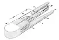 Drawing showing the adhesive attitude of Axine belones, a monogenean with an attachment mode similar to that of Pseudaxine trachuri