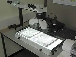 Photogrammetry[18]