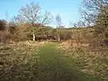 Stockbridge Down