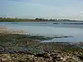 Stour Estuary