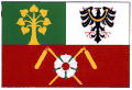 Flag of Sušice