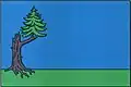 Flag of Suchdol