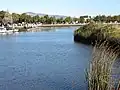Suisun Slough as seen from Solano Yacht Club