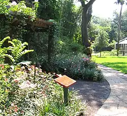 Butterfly Garden