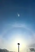 22° Halo, Upper Tangent Arc, Parry Arc, Supralateral Arc : May 2024 : Skagit Valley, Washington