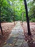Path leading to Ambrose the Stone Elephant