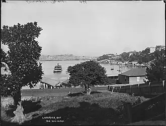 In Lavender Bay