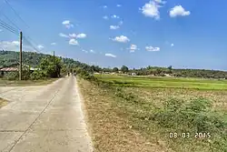 Tà Lài