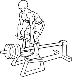 T-bar row start