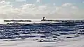 Beacon