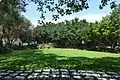 Lawn for Wedding