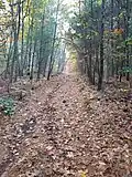 Tantamous Hill adjacent to Nobscot Hill in Nobscot BSA Reservation, off Ellis Land Trail