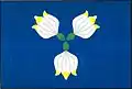 Flag of Tasovice