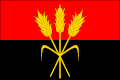 Flag of Tatiná
